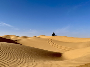 395389F5-1C1B-4C67-AB29-0AB8F156B4D1_1_105_c.jpeg