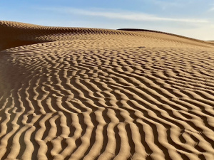 D22CC965-A263-47E3-B328-9E840ECEA5CA_1_105_c.jpeg