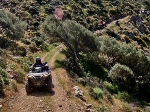 136E26FD-F52D-427A-9C26-8E09202DDA51_1_105_c.jpeg