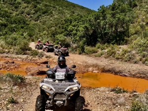 23592774-EA20-4940-8935-2F5D116B5E74_1_105_c.jpeg