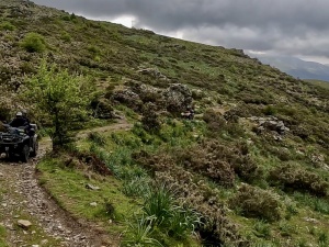 36D599B5-EF53-4B3A-AE63-09B04308F245_1_105_c.jpeg