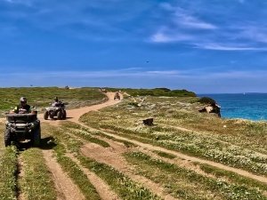 BC6A1F35-CB48-4AC1-9BC8-554C383201D6_1_105_c.jpeg